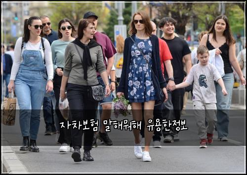 자차보험 말해뭐해  유용한정보