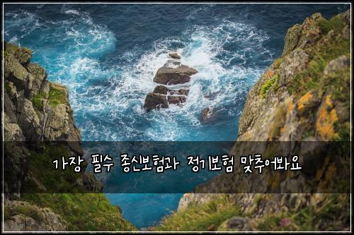 가장 필수 종신보험과 정기보험 맞추어봐요
