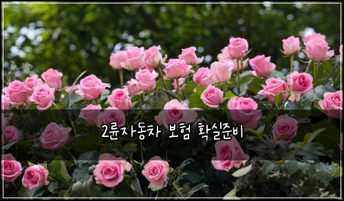 2๋ฅ์๋์ฐจ ๋ณดํ ํ์ค์ค๋น