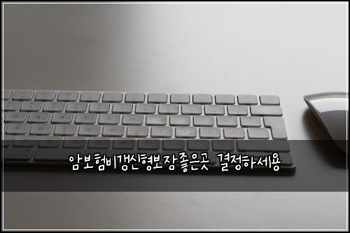 암보험비갱신형보장좋은곳 결정하세용