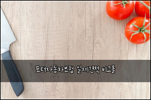 ํฌํฐ์๋์ฐจ๋ณดํ ์ค์ ๊ฒฌ์ ๋น๊ต๋ชฐ