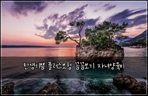 탄생기쁨 플러스보험 꼼꼼보기  자녀양육비