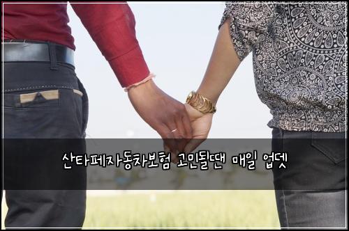 산타페자동차보험 고민될땐  매일 업뎃