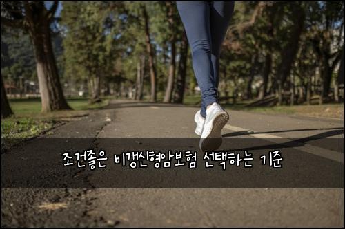 조건좋은 비갱신형암보험 선택하는 기준