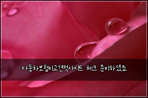 ์๋์ฐจ๋ณดํ๋น๊ต๊ฒฌ์ ์ฌ์ดํธ ์ฒดํฌ ์ค๋นํ์
จ์ฃ