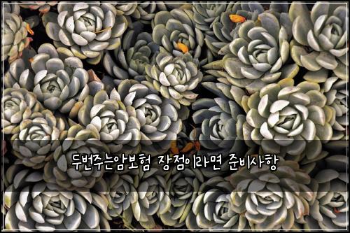두번주는암보험 장점이라면  준비사항