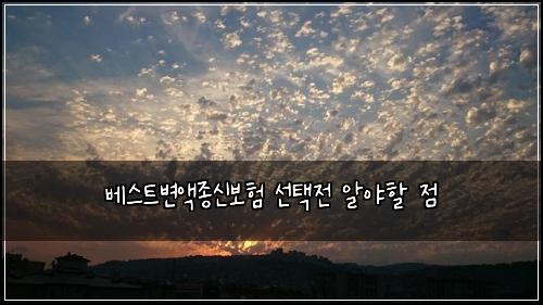 베스트변액종신보험 선택전 알야할 점