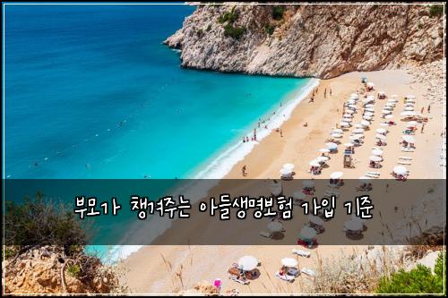 부모가 챙겨주는 아들생명보험 가입 기준