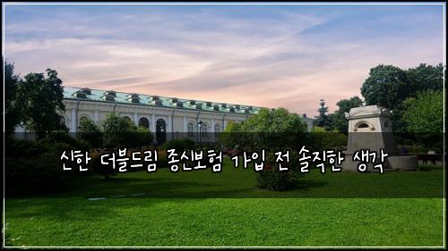 신한 더블드림 종신보험 가입 전 솔직한 생각
