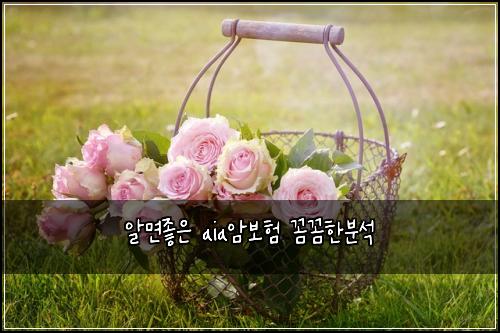 ์๋ฉด์ข์ aia์๋ณดํ ๊ผผ๊ผผํ๋ถ์