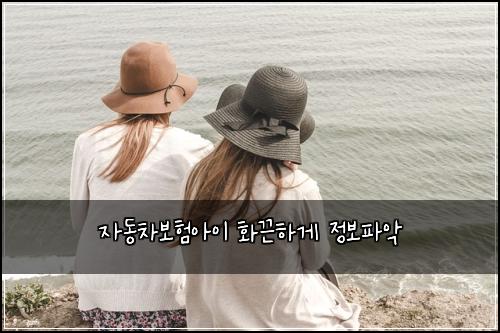 ์๋์ฐจ๋ณดํ์์ด ํ๋ํ๊ฒ ์ ๋ณดํ์