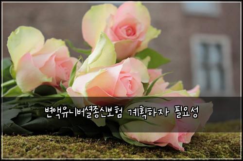 변액유니버셜종신보험 계획하자  필요성