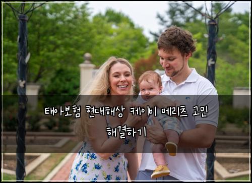 태아보험 현대해상 케이비 메리츠 고민 해결하기
