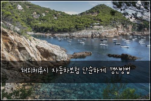 ํด์ธ์ฒด๋ฅ์ ์๋์ฐจ๋ณดํ ๋จ์ํ๊ฒ ๊ฐฑ์ ๋ฐฉ๋ฒ