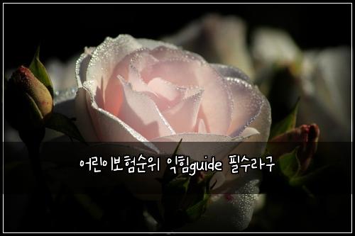 어린이보험순위 익힘guide 필수라구