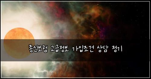 종신보험 고급정보  가입조건 상담 정기
