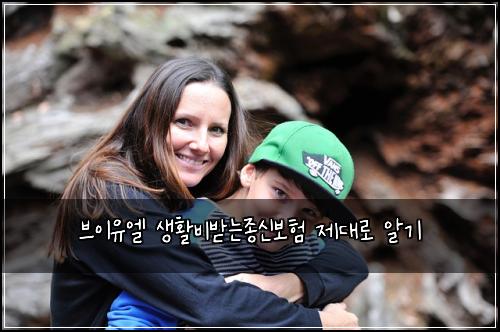 브이유엘 생활비받는종신보험 제대로 알기