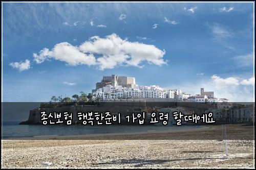 종신보험 행복한준비  가입 요령 할때에요
