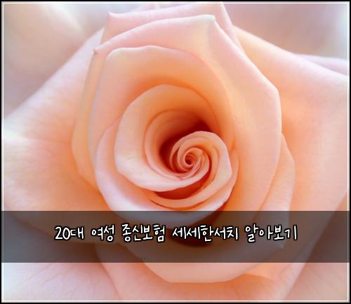20대 여성 종신보험 세세한서치  알아보기