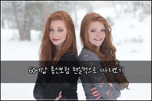 60세납 종신보험 현실적으로 따져보기
