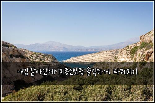 내맘같아엔에이치종신보험 솔직하게 파헤치기