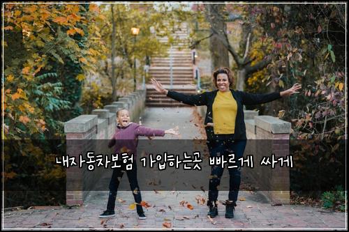 내자동차보험 가입하는곳  빠르게 싸게