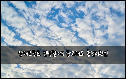 상해보험료 선택할때 참고해요 총정리확인