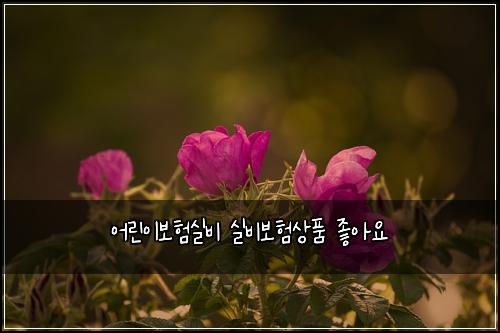 어린이보험실비 실비보험상품 좋아요