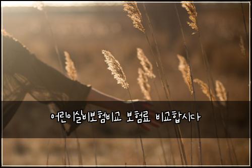 어린이실비보험비교 보험료 비교합시다