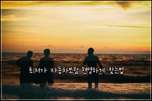 최저가 자동차보험 현명하게 찾는법