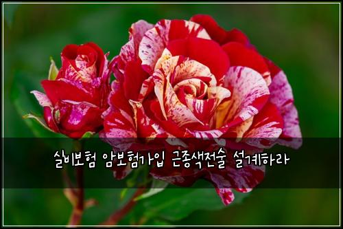 ์ค๋น๋ณดํ ์๋ณดํ๊ฐ์
๊ทผ์ข
์์ ์ ์ค๊ณํ๋ผ