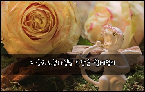 μλ차보νκ°μ
ν 보μ₯μ μ½κ²μ 리