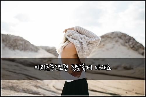메리츠종신보험 정말좋게  바래요