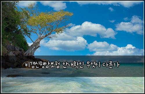 ๋น๊ฐฑ์ ํ์๋ณดํ ์๋ดํ์ธ ๋ฌด์์ด ๋ค๋ฅธ๊ฐ