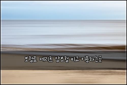 보험료 메리츠 암보험 비교 이용하는곳