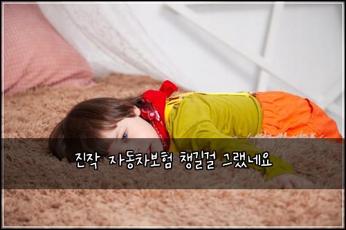 진작 자동차보험 챙길걸 그랬네요
