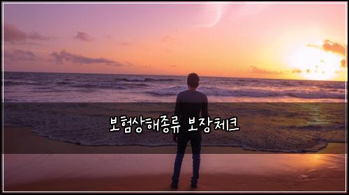 보험상해종류 보장체크