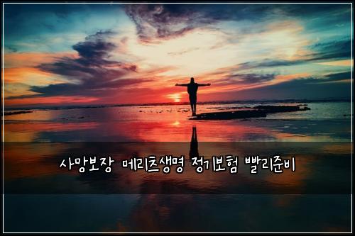 사망보장 메리츠생명 정기보험 빨리준비 