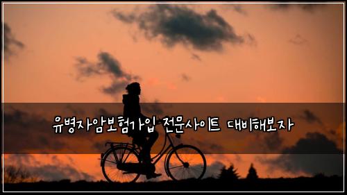 ์ ๋ณ์์๋ณดํ๊ฐ์
์ ๋ฌธ์ฌ์ดํธ ๋๋นํด๋ณด์