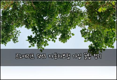르노메리츠 SM3 자동차보험 가입 꿀팁 정리