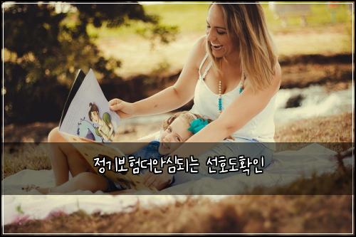 정기보험더안심되는 선호도확인