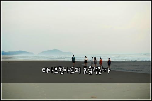태아보험아토피 효율적일까
