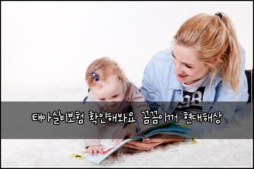 태아실비보험 확인해봐요  꼼꼼이꺼 현대해상