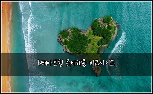 bํ์๋ณดํ ์ค๋นํด์ฉ ๋น๊ต์ฌ์ดํธ