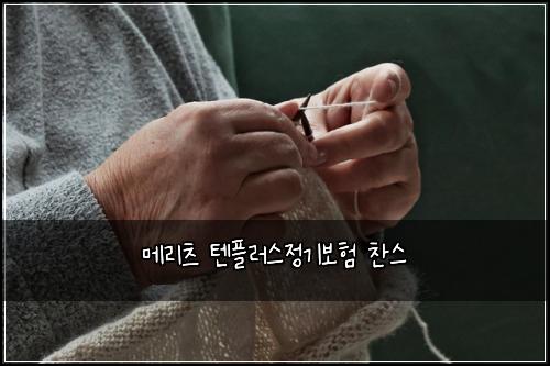 ๋ฉ๋ฆฌ์ธ ํ
ํ๋ฌ์ค์ ๊ธฐ๋ณดํ ์ฐฌ์ค