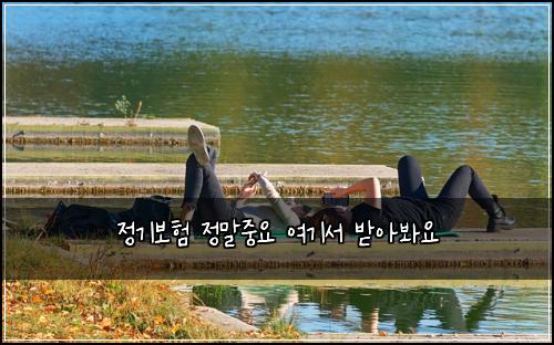 정기보험 정말중요  여기서 받아봐요