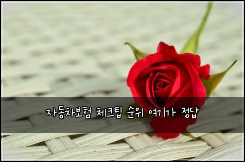 ์๋์ฐจ๋ณดํ ์ฒดํฌํ ์์ ์ฌ๊ธฐ๊ฐ ์ ๋ต