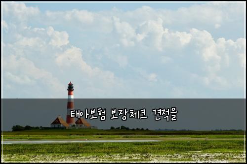 태아보험 보장체크  견적을