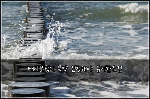 태아보험의 특약 신청해야 유리한조건