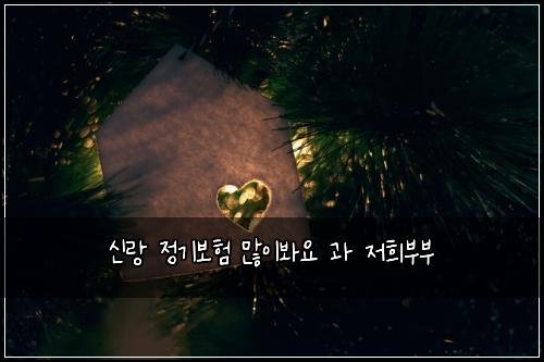 신랑 정기보험 많이봐요  과 저희부부